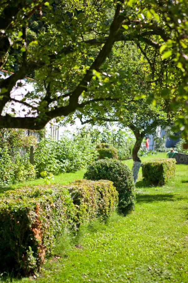Lozerkasteel Hotel Kruishoutem Bagian luar foto